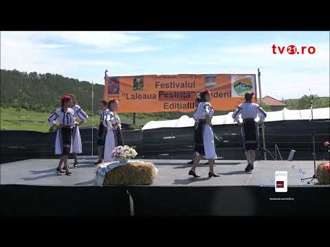 Ansamblul Folcloric ”Flori Muresene”  Chetani, in cadrul festivalului Lalaeaua Pestrita