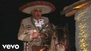 Vicente Fernández - Esa Noche Te Olvidé