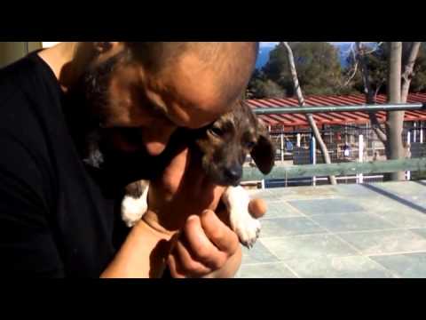 Sabine & Patrick auf Aegina