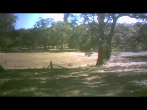 download lagu mp3 mp4 Beard Wives Denim, download lagu Beard Wives Denim gratis, unduh video klip Beard Wives Denim