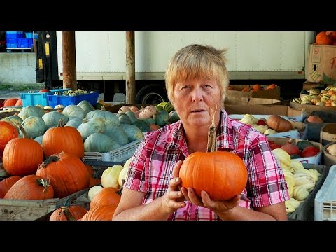 The Remarkable World of Winter Squash and Pumpkins