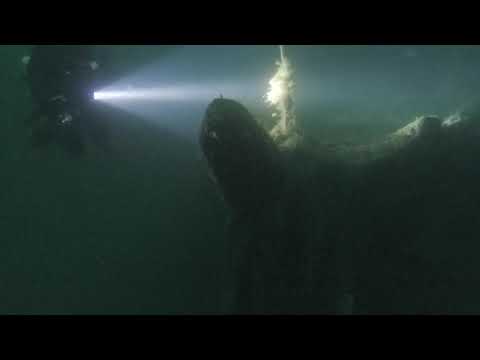 Vidéo du Balena 2019