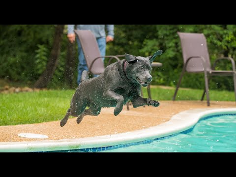 Member Story: Grayson Haze