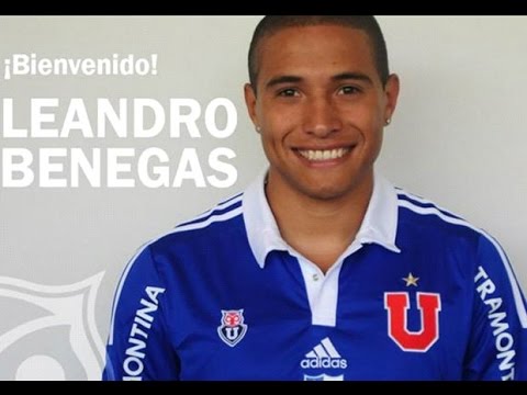 Pes 2015 Leandro Benegas (Universidad De Chile)