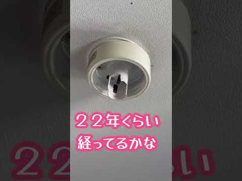 園芸 オリジナル電球