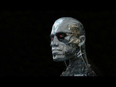 exterminator Malcolm X Terminator T 800 Model 101 destroyer