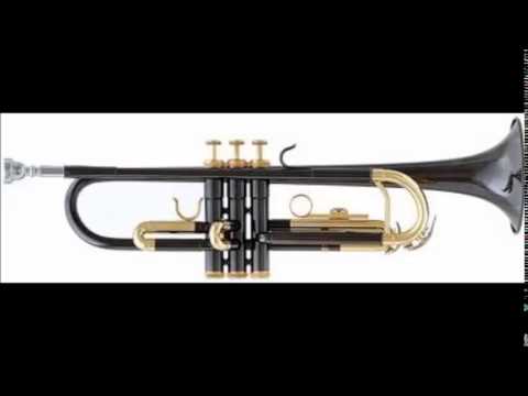 Anema e core - performed by Sebastiano Merlo on trumpet