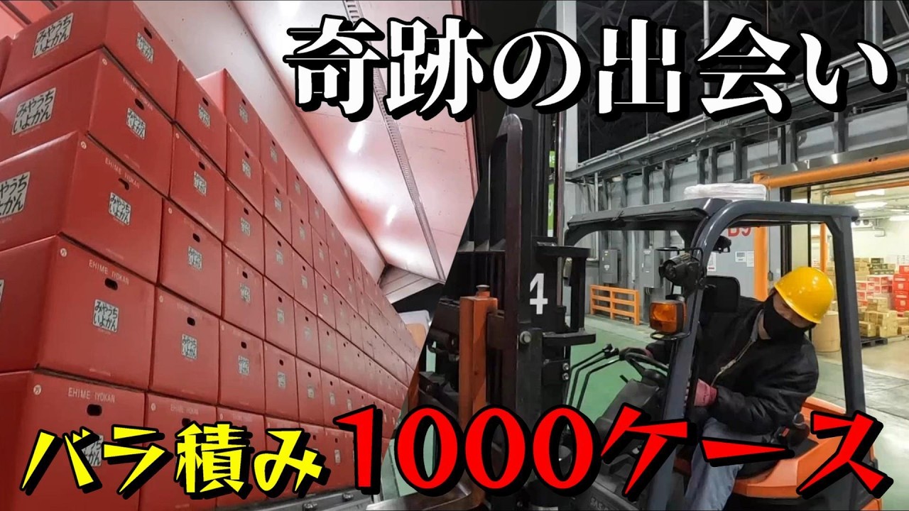 【長距離トラック運転手】○○が無くなったおかげで奇跡の出会い【愛媛～福岡】