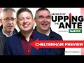Upping The Ante | Cheltenham Preview Show 2024 | Horse Racing Tips