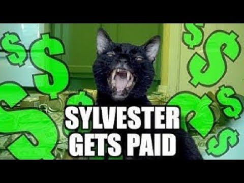 Talking Kitty Cat 68-Sylvester gets paid!!! Steve cash`s latest Video