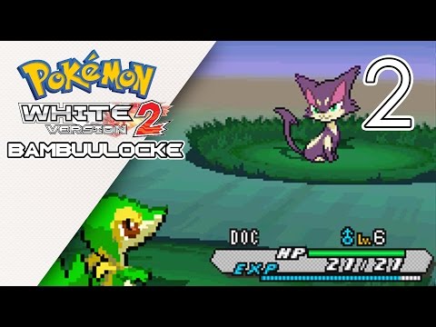 Pokémon White 2 Bambuulocke Part 2 - Amazing Start :/