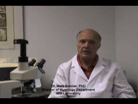 When To Use The Air Check Mold Test Kit