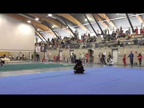 武学五步拳 (1st place open dutch 2017)