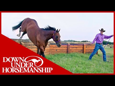 Clinton Anderson: How To Tie A Rope Halter - Downunder Horsemanship