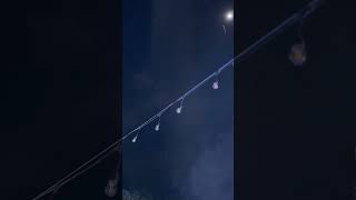 Download lagu Dance pargoyyy DJ Berlin Bintang #dj #berlinbintang #djberlinbintang Graduation Party mp3 Download lagu Dance pargoyyy DJ Berlin Bintang #dj #berlinbintang #djberlinbintang Graduation Party mp3