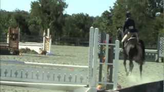 preview picture of video 'Wilona WF Baby Green Hunter Over Fences Round 1 9/15/12'