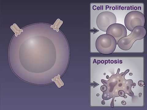 Prolonging Survival in NSCLC
