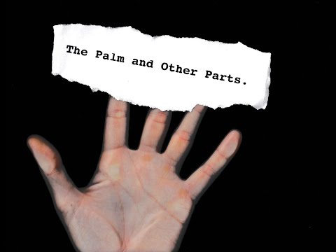 The Palm and Other Parts (Lyric Video)