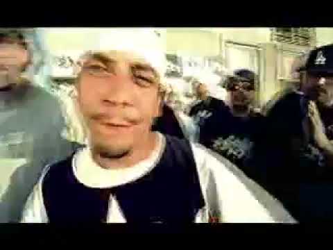 Filthee Immigrants   Find Us