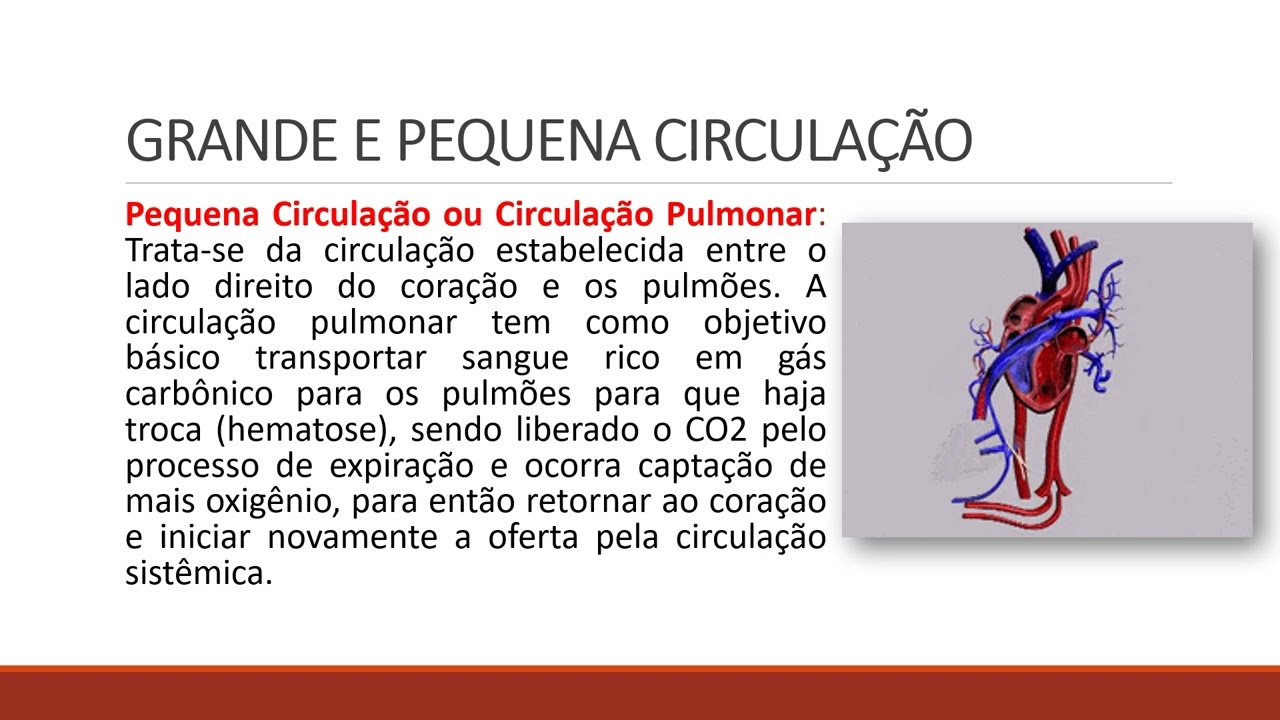 CRISE HIPERTENSIVA EMERGÊNCIA CLINICA