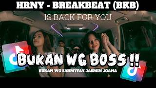 Download lagu BUKAN WG NIH BOSS !! HRNY - BREAKBEAT (BKB) IS BACK FOR YOU MIXTAPE TERBARU 2026 mp3