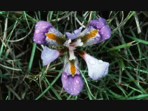 Cherie's Birthday 2010.wmv