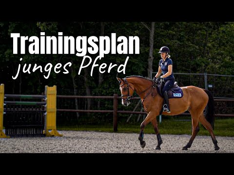 Trainingsplan Junges Springpferd | Welche Eckpunkte sind wichtig?