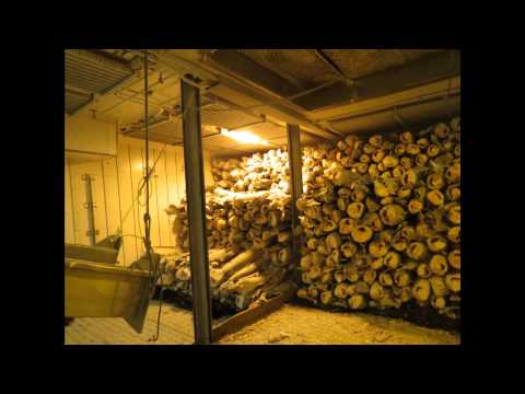 Fishing Down Antarctica And macqaurie island