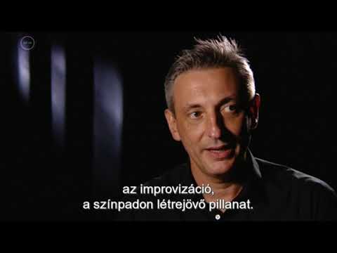 Nenad Vasilic Trio /// Live in Budapest-Short Documentary