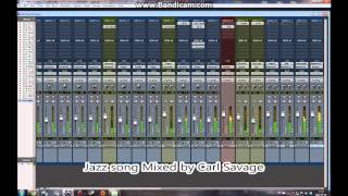 Portfolio Audio - Carl Savage