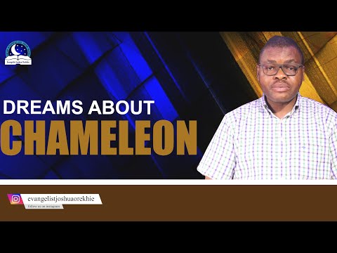 Dreams About Chameleon II Meaning and Interpretation