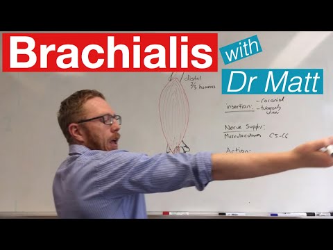 Brachialis arthritis mint a kezelés