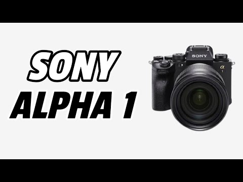 Sony Alpha 1 ... Is This Camera Worth $6500?