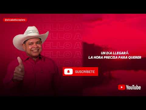 Alí Cabello - Señora Soledad (Video Letra Oficial)