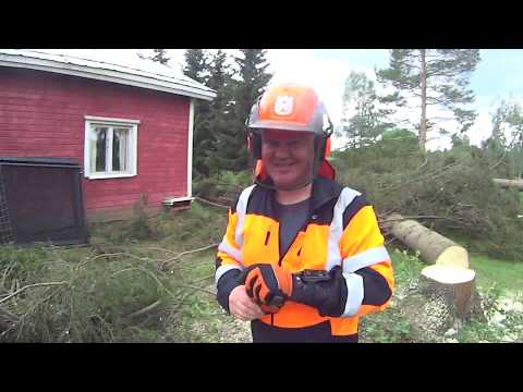 puunkuajossa, prokuvaaja matin kanssa