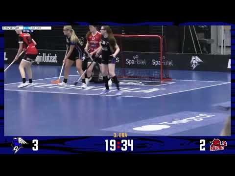 T21: EräViikingit - SB-Pro 12.2.2025 maalikooste