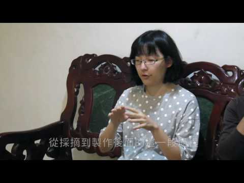 人在茶在山在 山不枯種出友善環境好茶