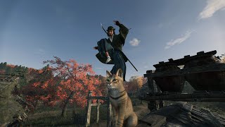 【Rise of the Ronin】アマプラのプライムビデオで30分くらいのドラマを見るのにハマっています【でーもん】
