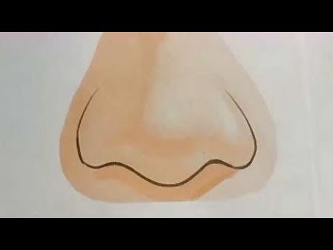 女人鼻子大代表什么