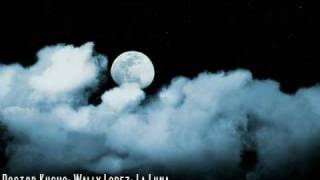 Doctor Kucho; Wally Lopez: La Luna (Antoine 909 Unreleased Mix)