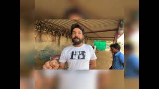 VOICE OF STRAY ANIMALS VOSAH