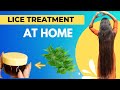 Lice Treatment At Home Get Rid Of Lice And Ticks Shorts Hairstyle Thesoni Hair