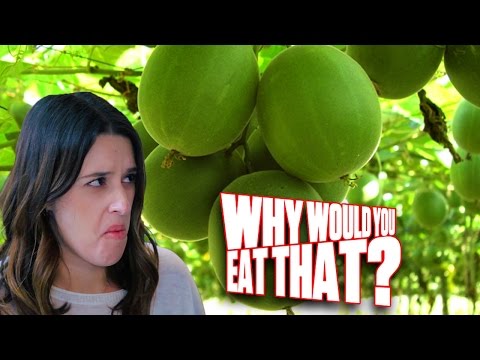 Zero Calorie Super Sweetener aka Monk Fruit - Why Would You Eat That