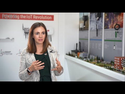 Alicia Asin: Experiencias