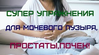 Установка донорской простаты и мочевого пузыря