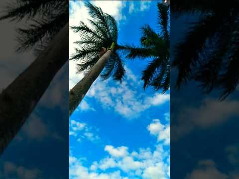 PRAÇA ANDRELÂNDIA MG LINDA TARDE DE SEGUNDA-FEIRA DIA  20 OUTUBRO #andrelandiamg #minasgerais