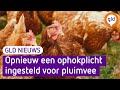 GLD Nieuws 15 november 2023