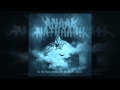 Anaal Nathrakh - In The Constellation Of The Black Widow (Full Album)