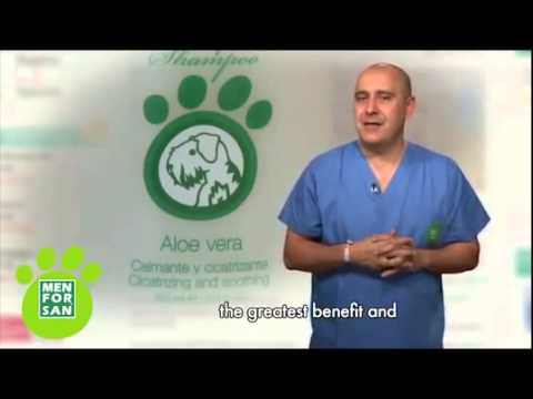 MENFORSAN CHAMPUS DE TRATAMIENTO hidratante, aloe vera, neem y citronela - Mascositas