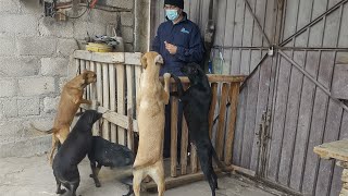 el médico Giovanni ya desparacito a las tres negritas y a una de ellas se le dió especial